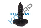���� (����)